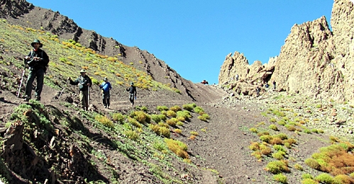 Markha Valley Trek